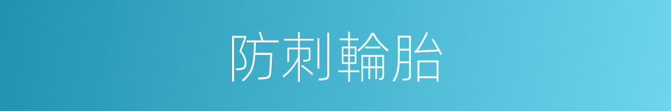 防刺輪胎的同義詞