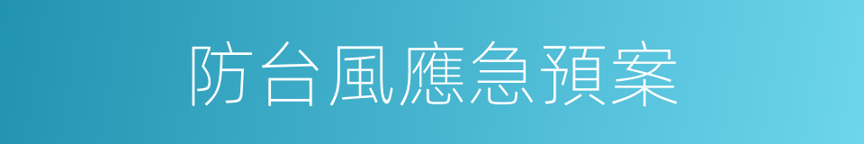 防台風應急預案的同義詞