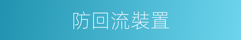 防回流裝置的同義詞
