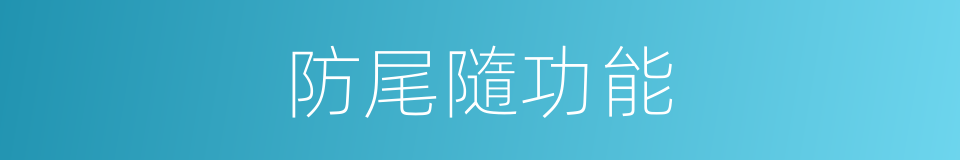 防尾隨功能的同義詞