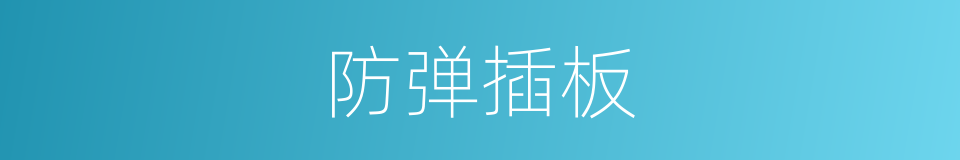 防弹插板的同义词