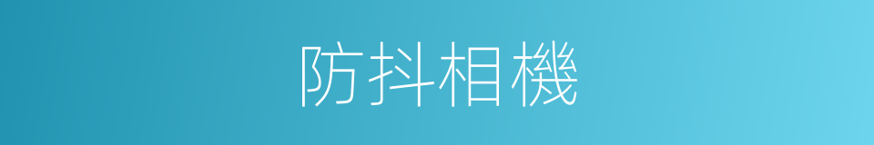 防抖相機的同義詞