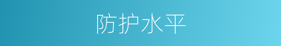 防护水平的同义词