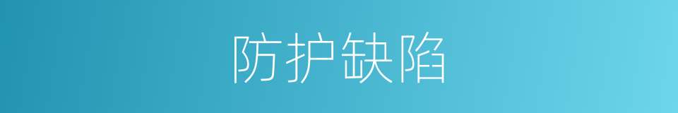 防护缺陷的同义词