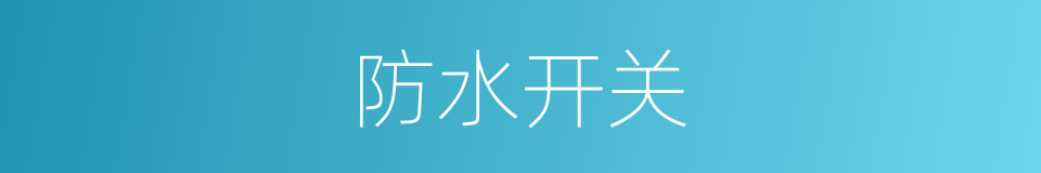 防水开关的同义词