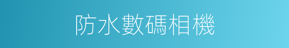 防水數碼相機的同義詞
