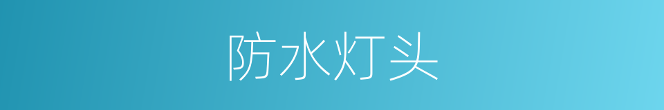 防水灯头的同义词
