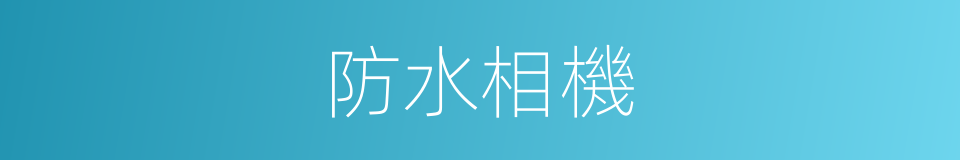 防水相機的同義詞