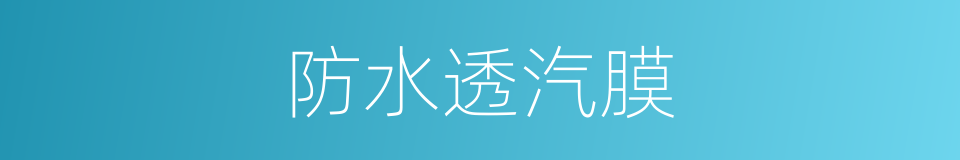 防水透汽膜的同义词