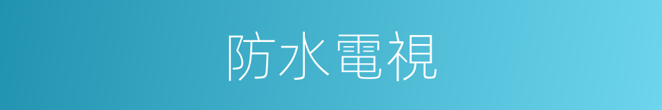 防水電視的同義詞