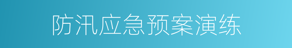 防汛应急预案演练的同义词