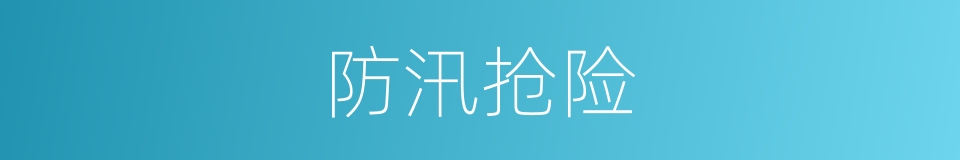 防汛抢险的同义词