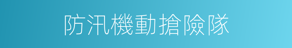 防汛機動搶險隊的同義詞