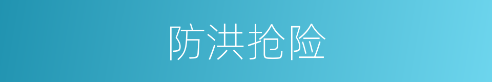 防洪抢险的同义词