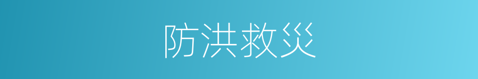 防洪救災的同義詞