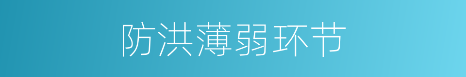 防洪薄弱环节的同义词