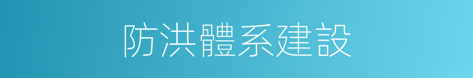 防洪體系建設的同義詞