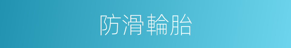 防滑輪胎的同義詞