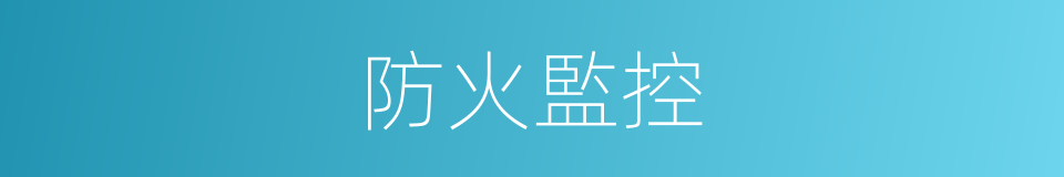 防火監控的同義詞