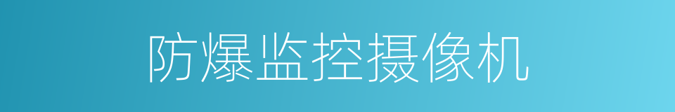 防爆监控摄像机的同义词