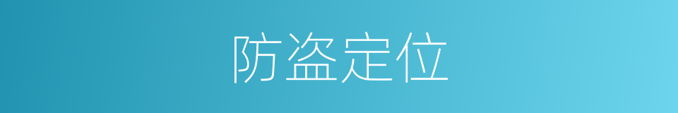 防盗定位的同义词