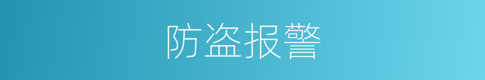 防盗报警的同义词