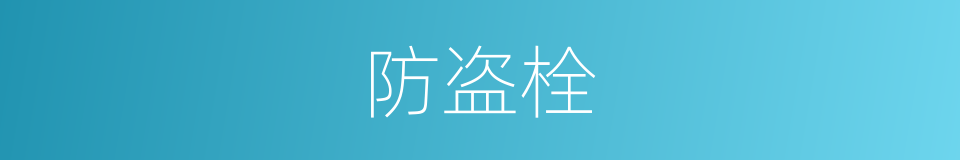 防盗栓的同义词