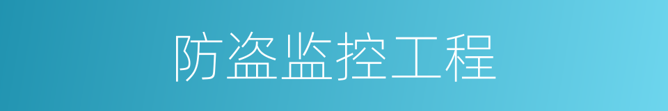 防盗监控工程的同义词