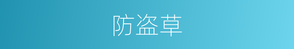 防盗草的同义词