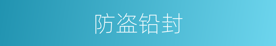 防盗铅封的同义词