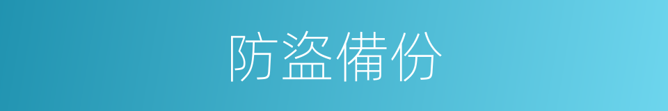 防盜備份的同義詞