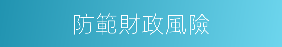 防範財政風險的同義詞