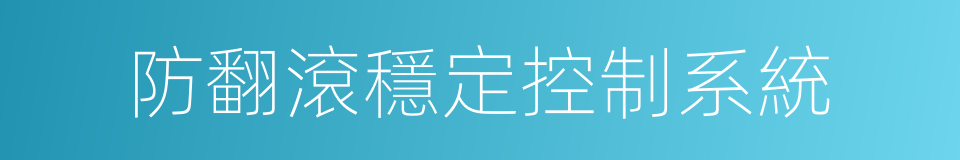 防翻滾穩定控制系統的同義詞