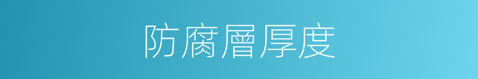 防腐層厚度的同義詞