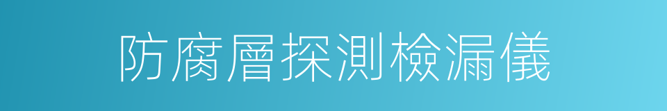 防腐層探測檢漏儀的同義詞