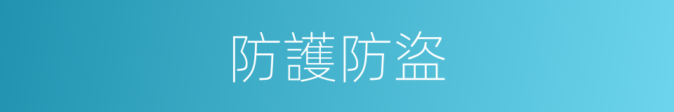 防護防盜的同義詞