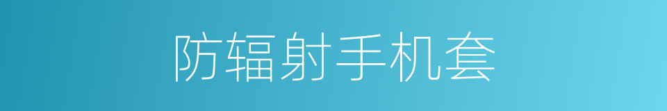 防辐射手机套的同义词