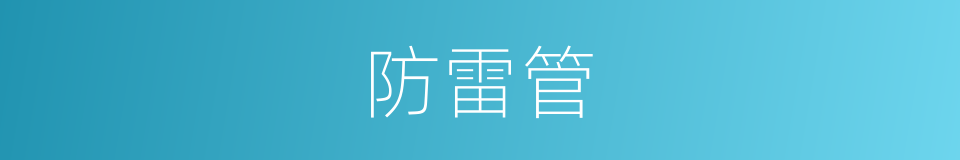 防雷管的同义词