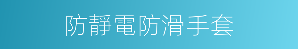 防靜電防滑手套的同義詞
