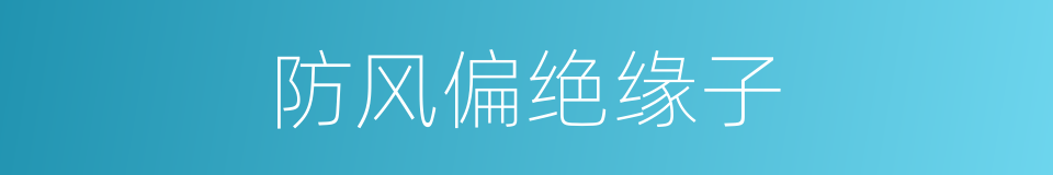 防风偏绝缘子的同义词