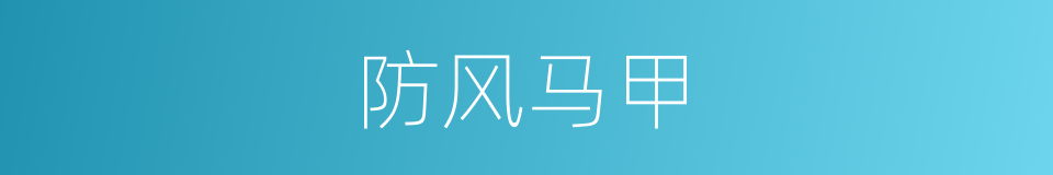 防风马甲的同义词