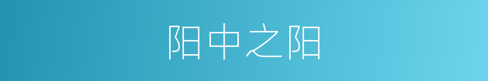 阳中之阳的意思