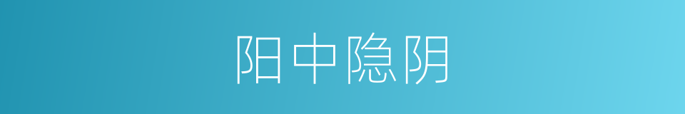 阳中隐阴的同义词