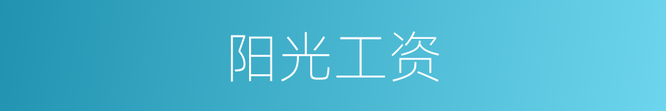 阳光工资的同义词