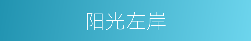 阳光左岸的同义词