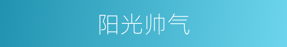 阳光帅气的同义词