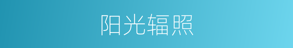 阳光辐照的同义词