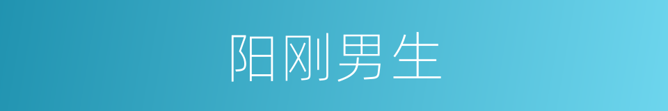 阳刚男生的同义词