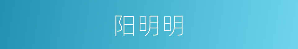 阳明明的同义词