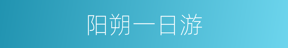 阳朔一日游的同义词